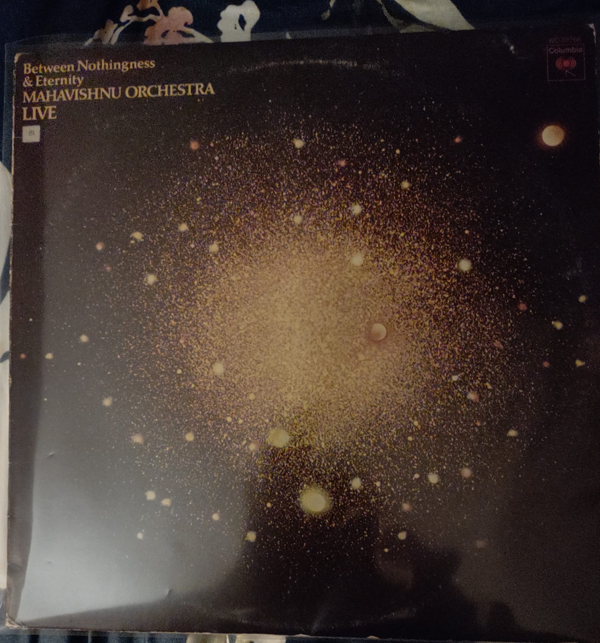 Mahavishnu Orchestra and Pollution recommendations