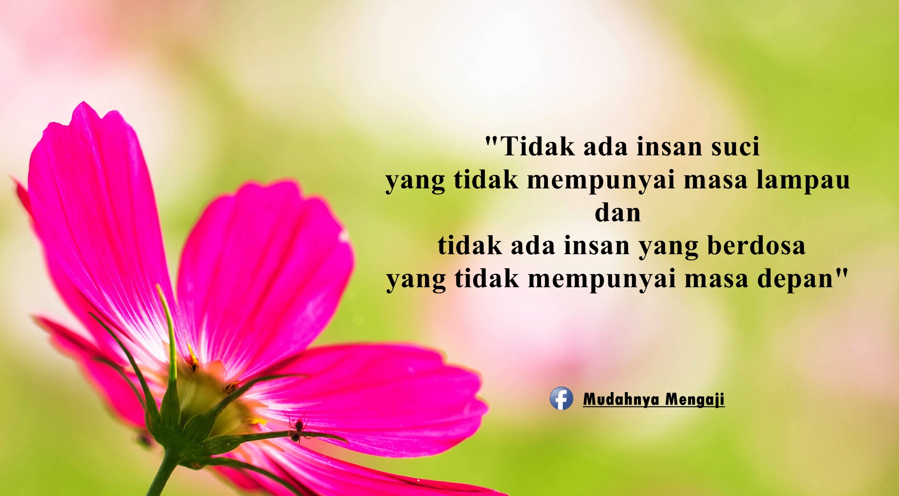 Tiada Insan Yg Sempurna Mudahnya Mengaji Facebook