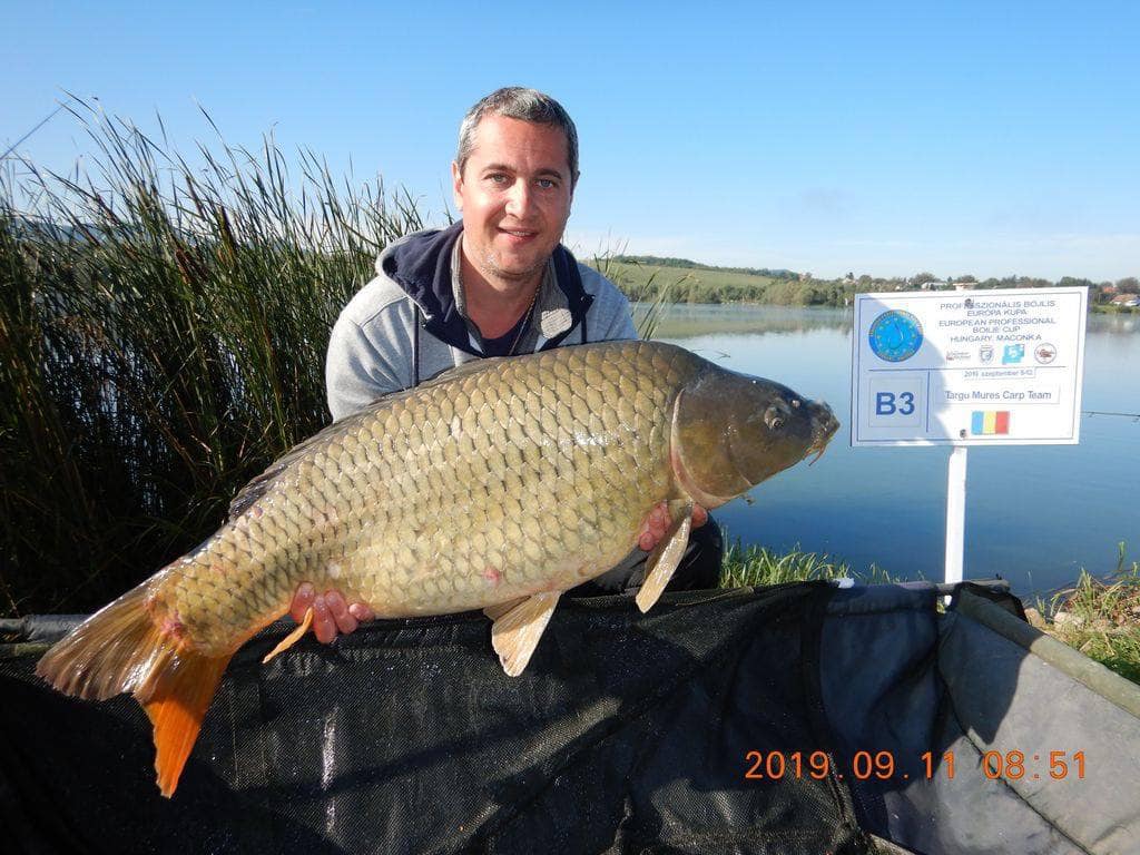 Maxi Fish Mures | Ungheni