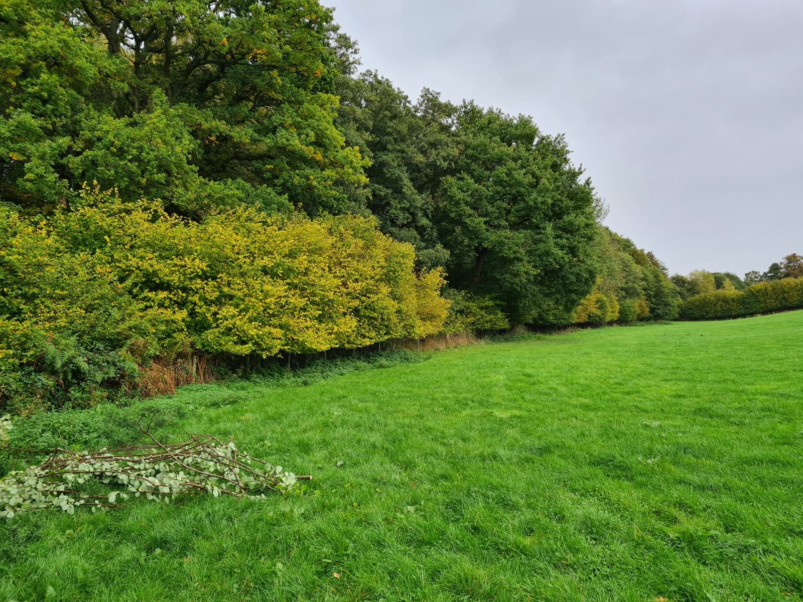 Whitbourne Estate | Hereford