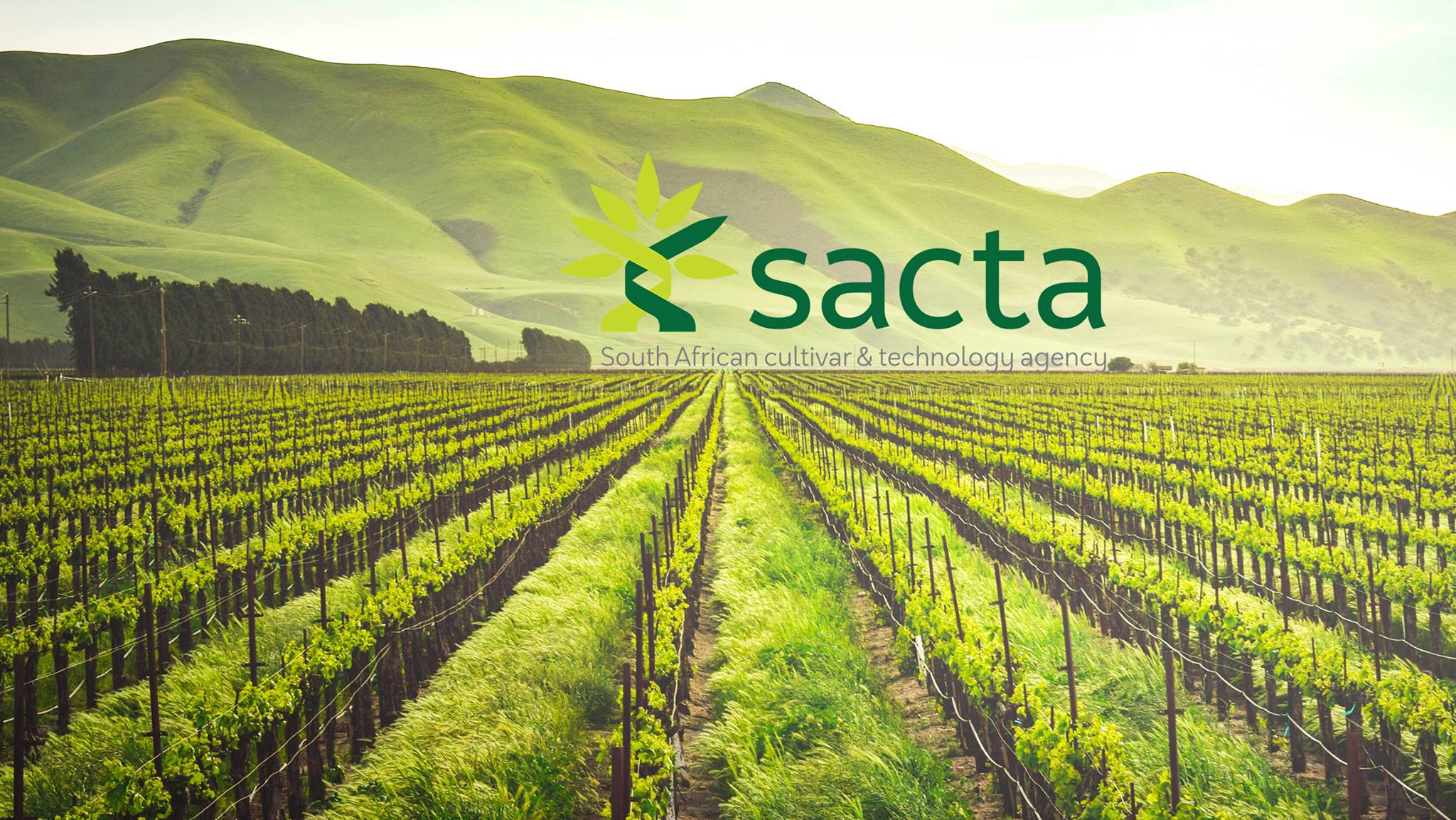 SACTA - SA Cultivar & Technology Agency | Pretoria