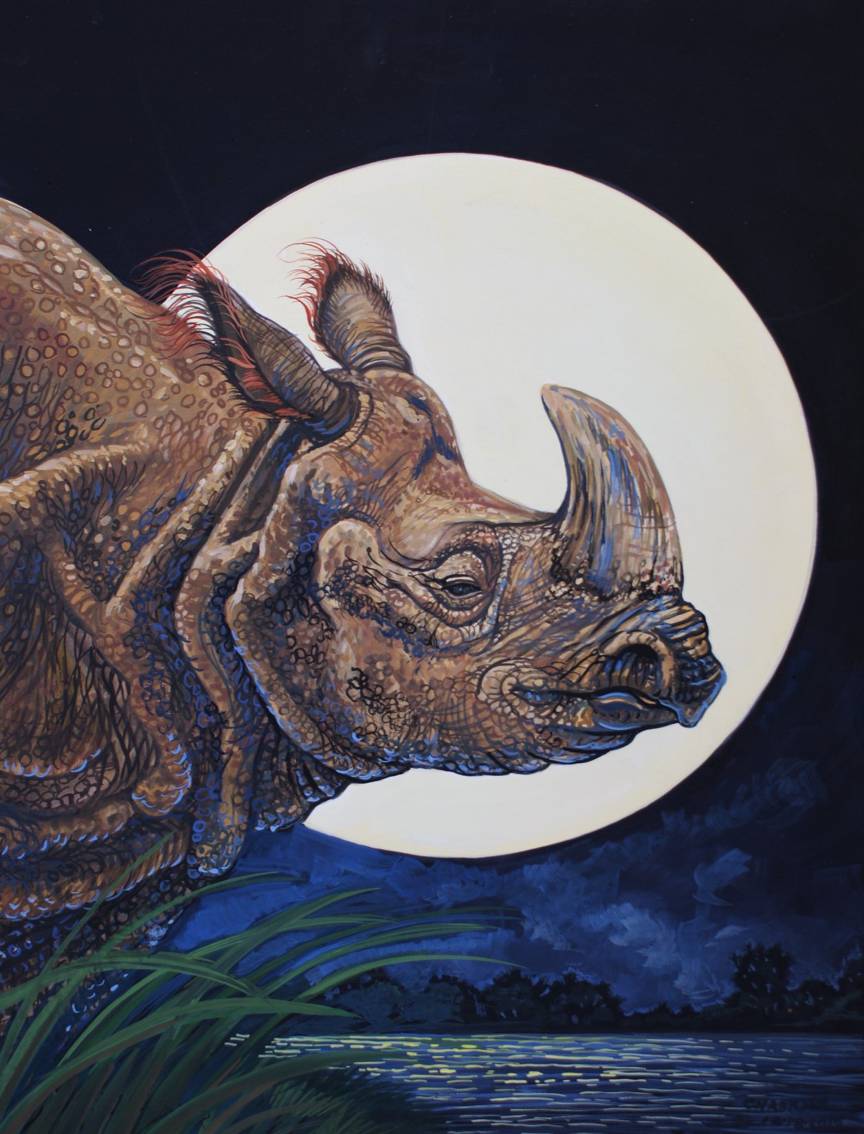 Rhino Home Video and its legacy