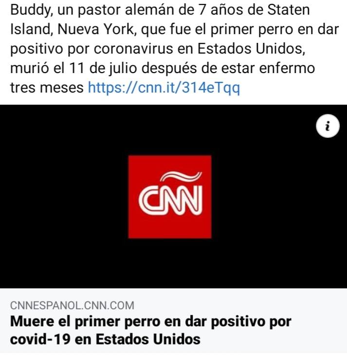 Roatan Al Día - # RAD | CNN) — Buddy, un pastor alemán de... | Facebook
