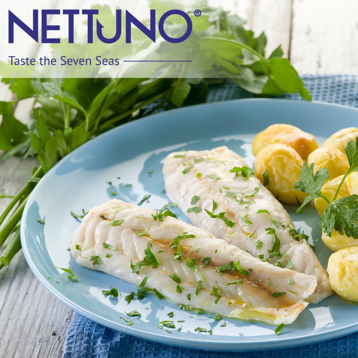 Nettuno Fish Products | Ta' Qali