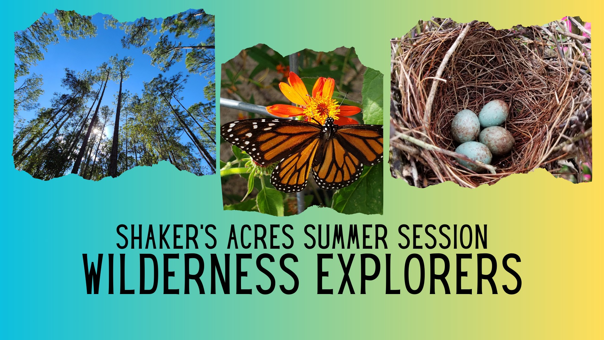 Shaker's Acres Summer Session - Wilderness Explorers