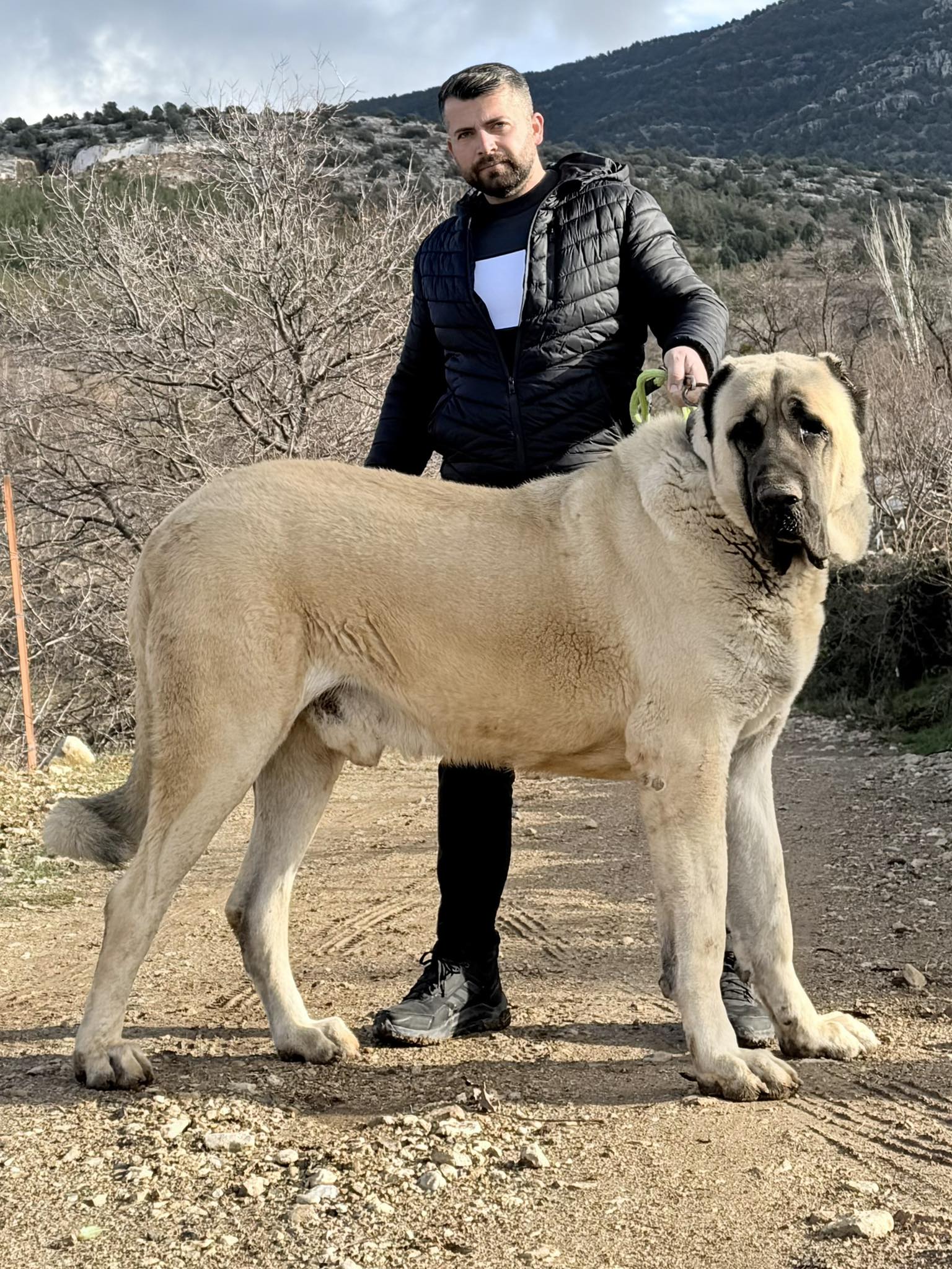Salih Baklan
