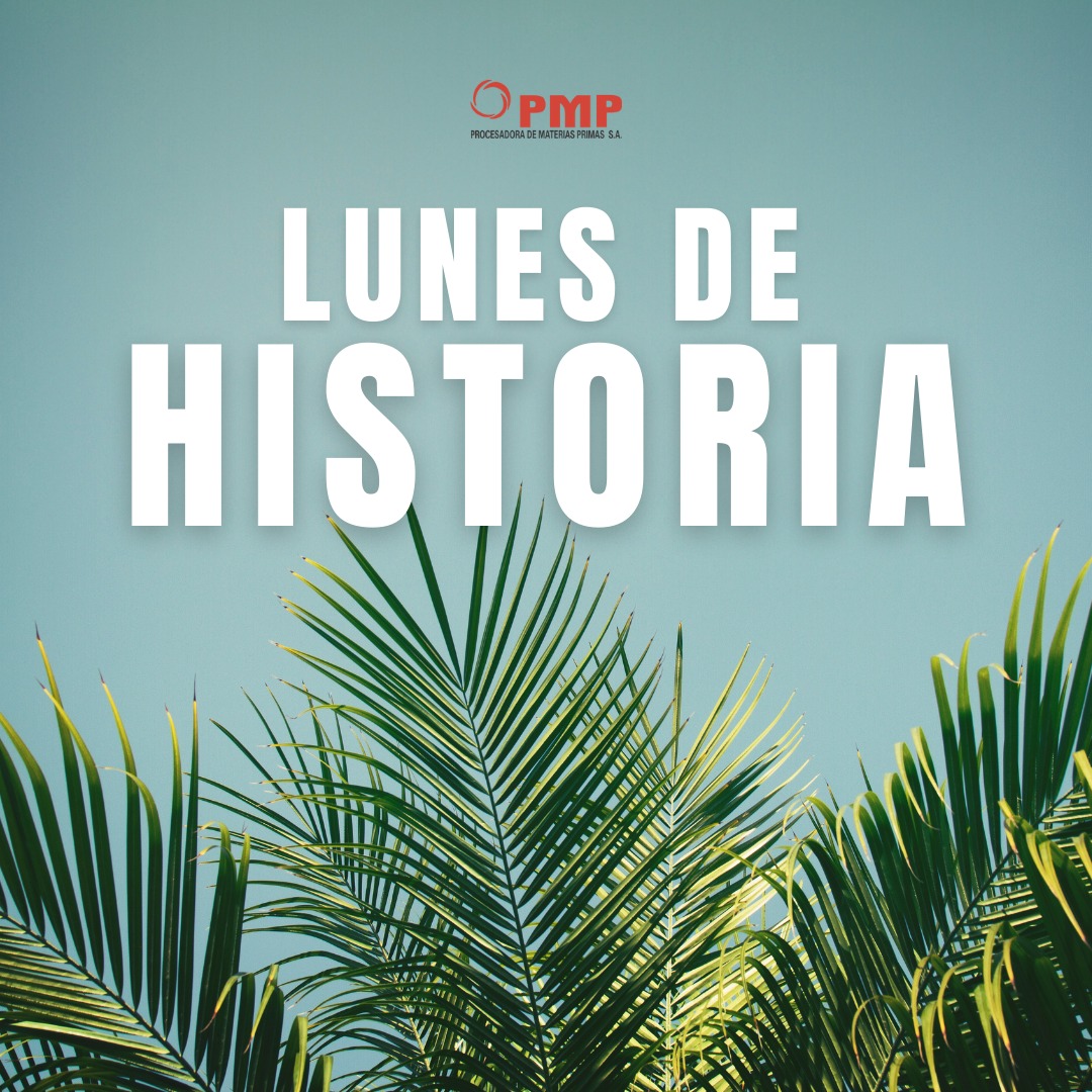 pmp.sa - En Colombia, la historia de la palma de aceite... | Facebook