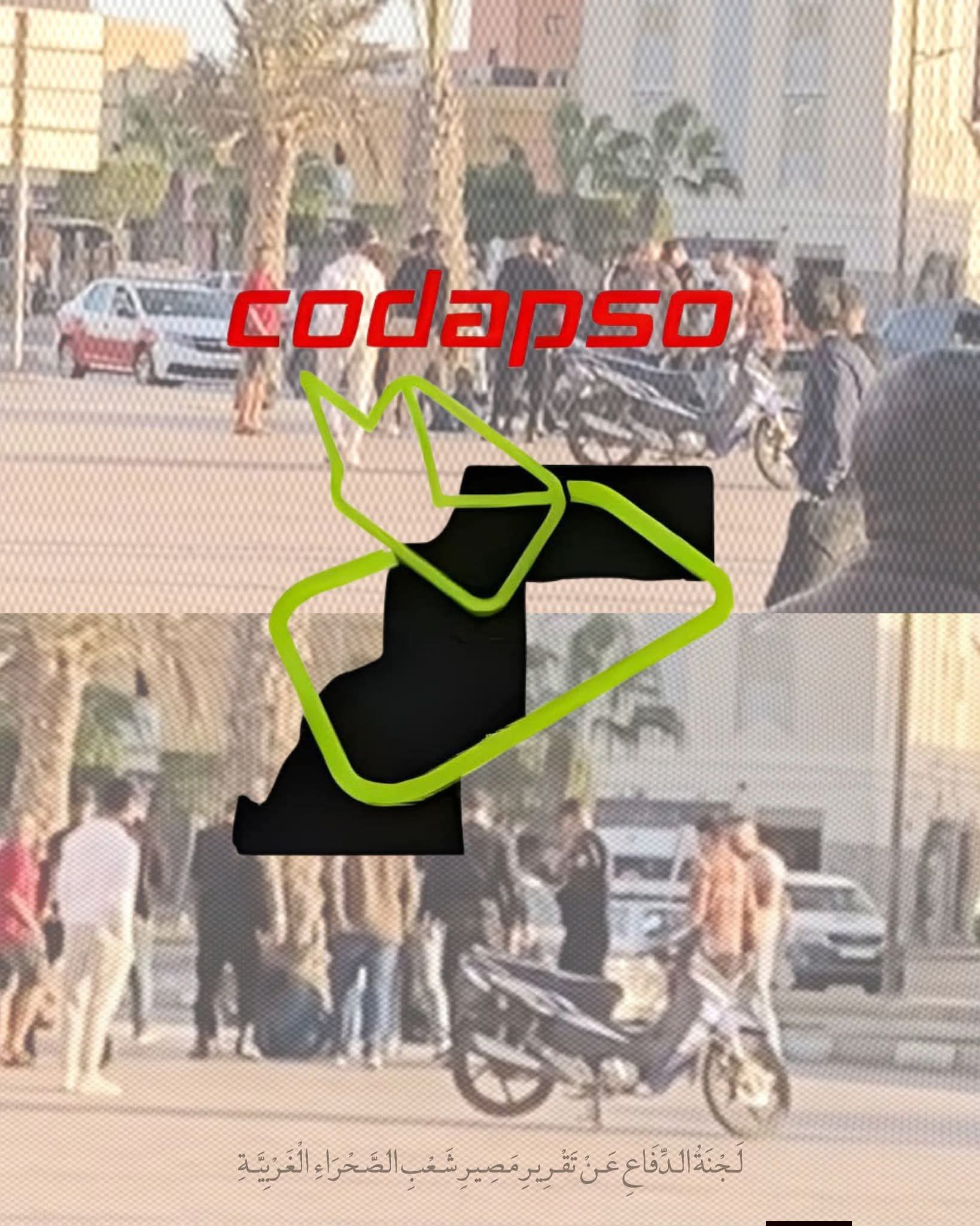 Codap So