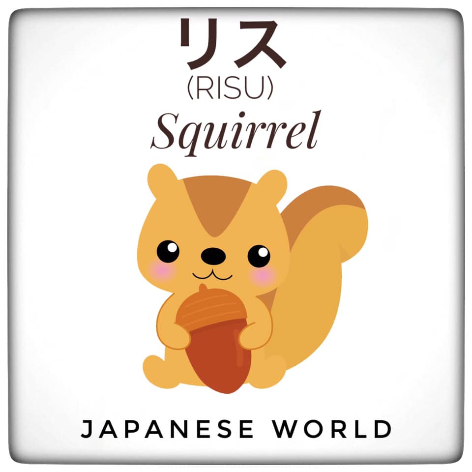 Japanese World - リス Risu Squirrel 🐿 #Japanese_World | Facebook