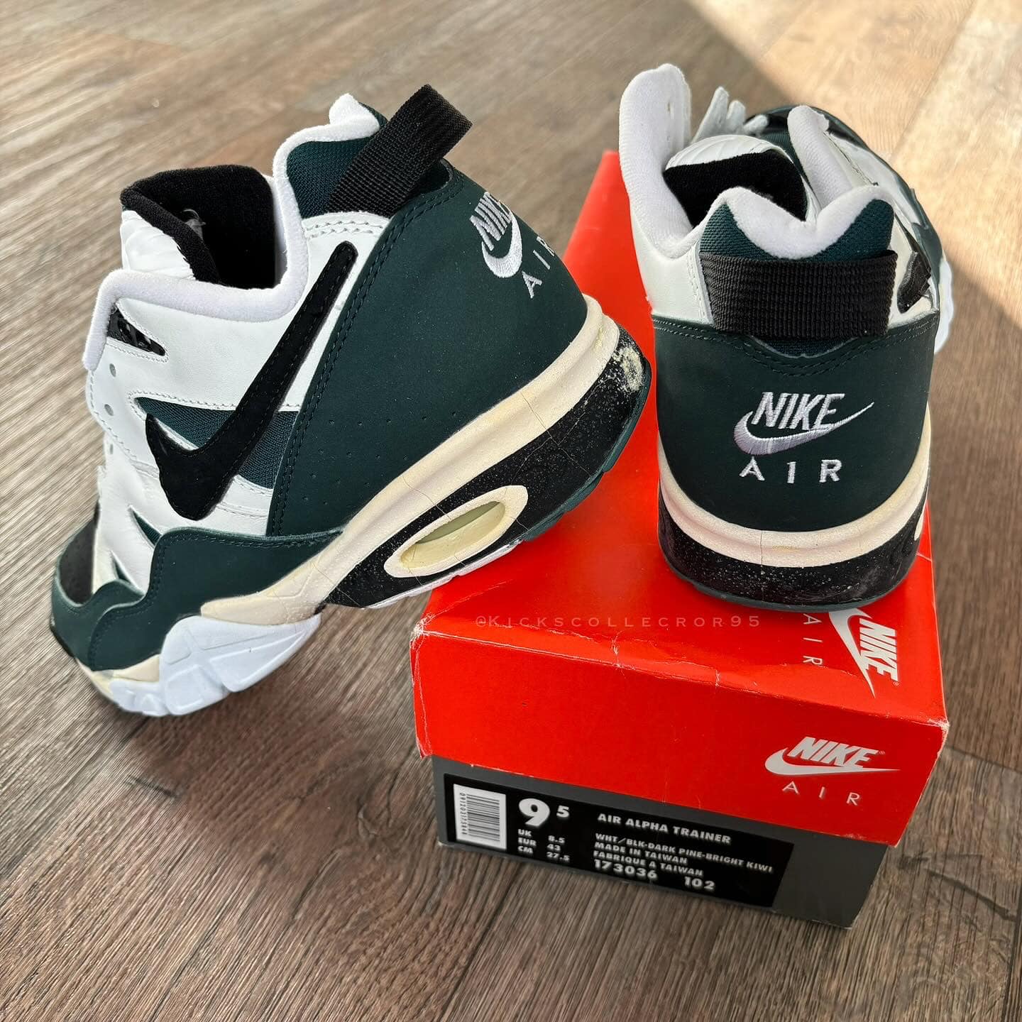 OG 1994 Nike Air Alpha Trainer, in the White/Black Dark Pine 