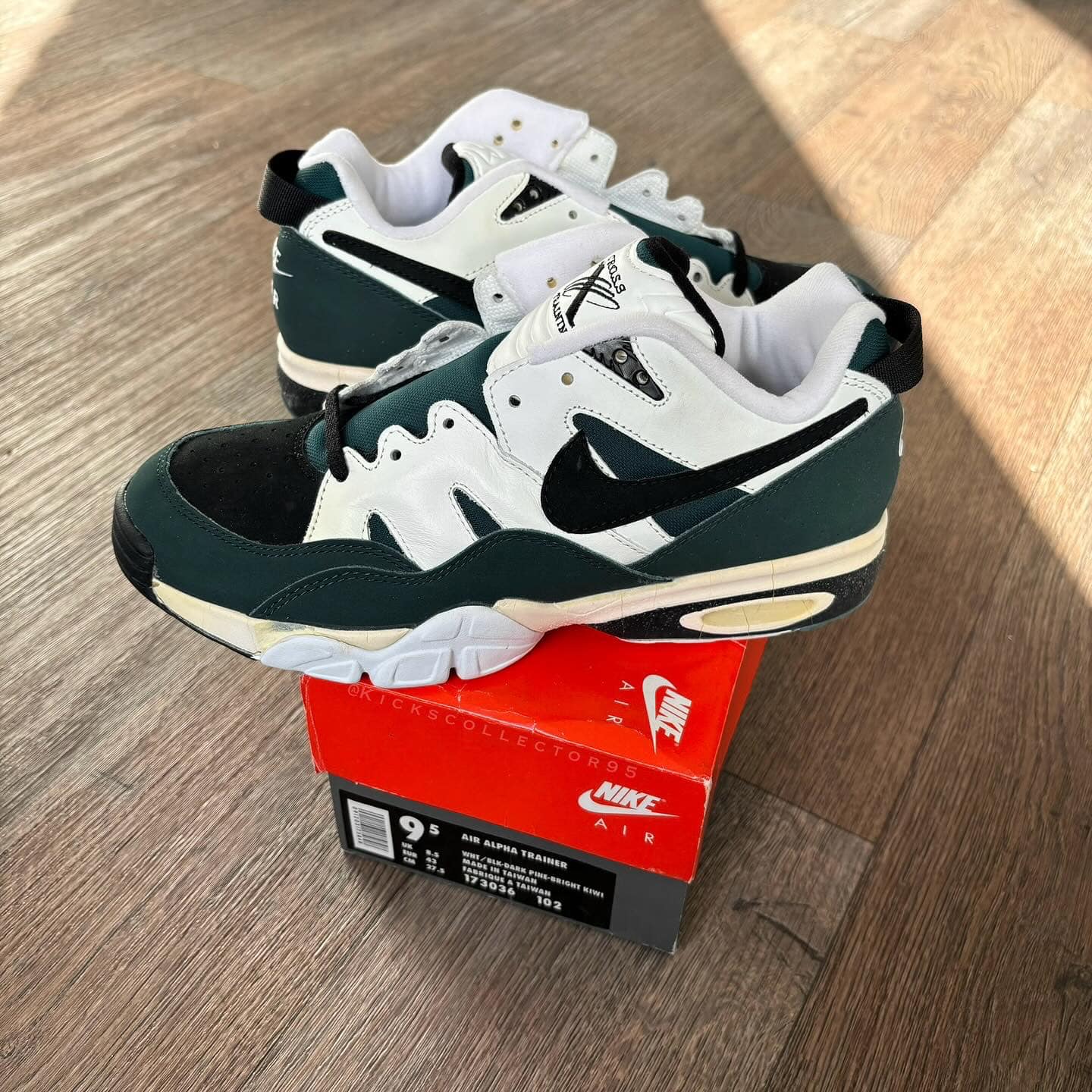 OG 1994 Nike Air Alpha Trainer, in the White/Black Dark Pine 