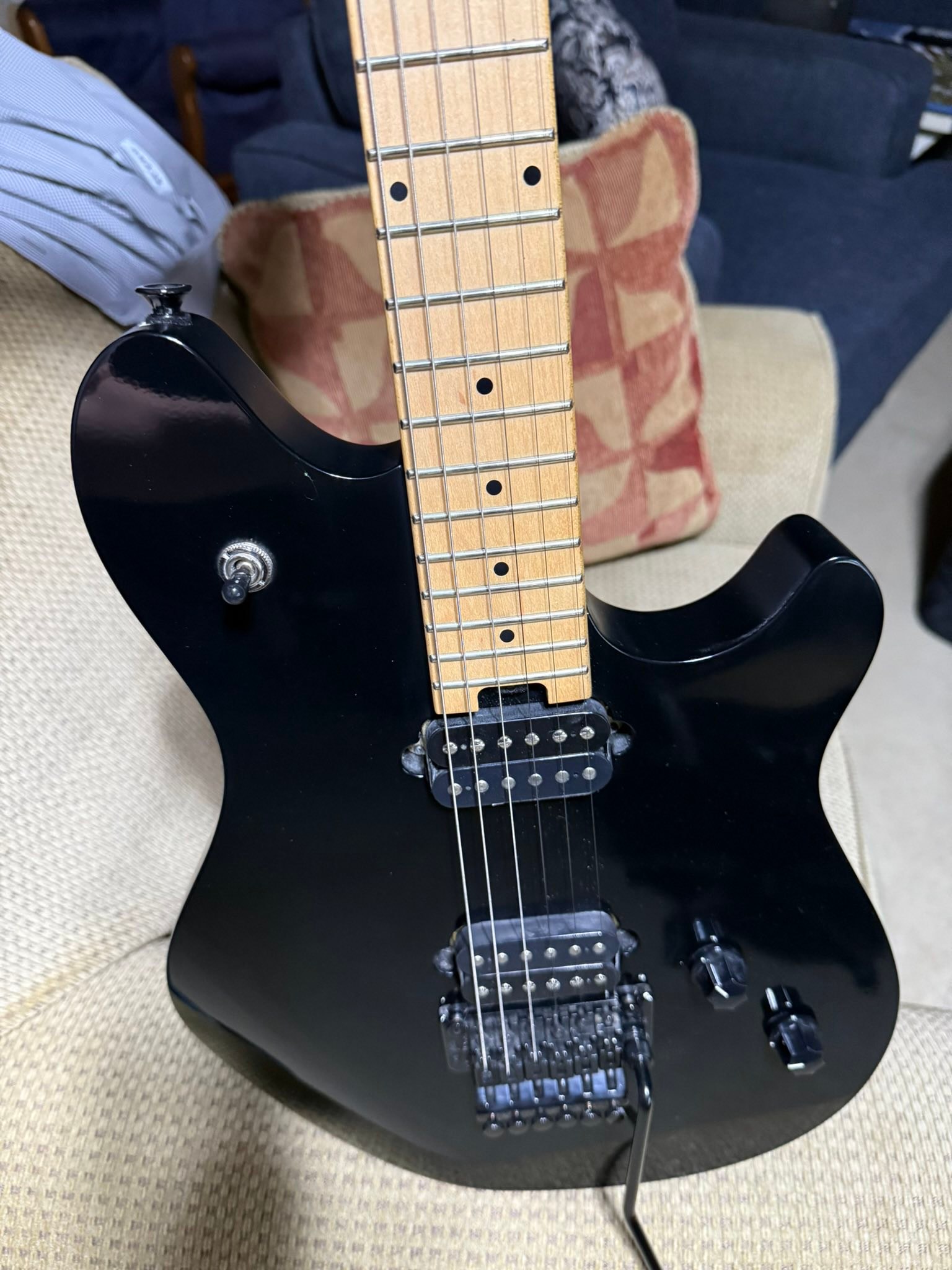 EVH Wolfgang Special modded with Bare Knuckle 'The Mule' pickups