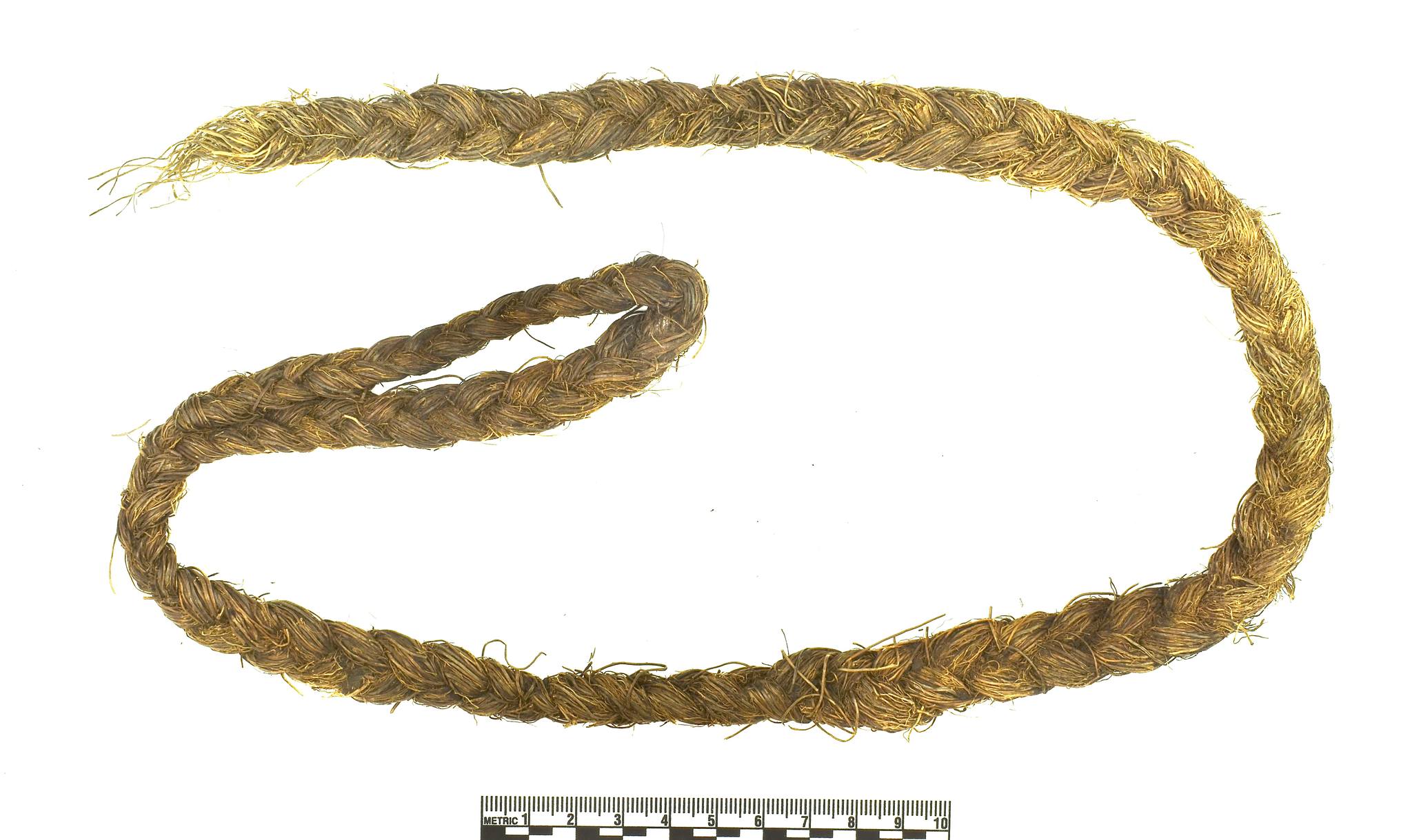 Rick Knecht - A piece of grass rope rescued last week a... | Facebook