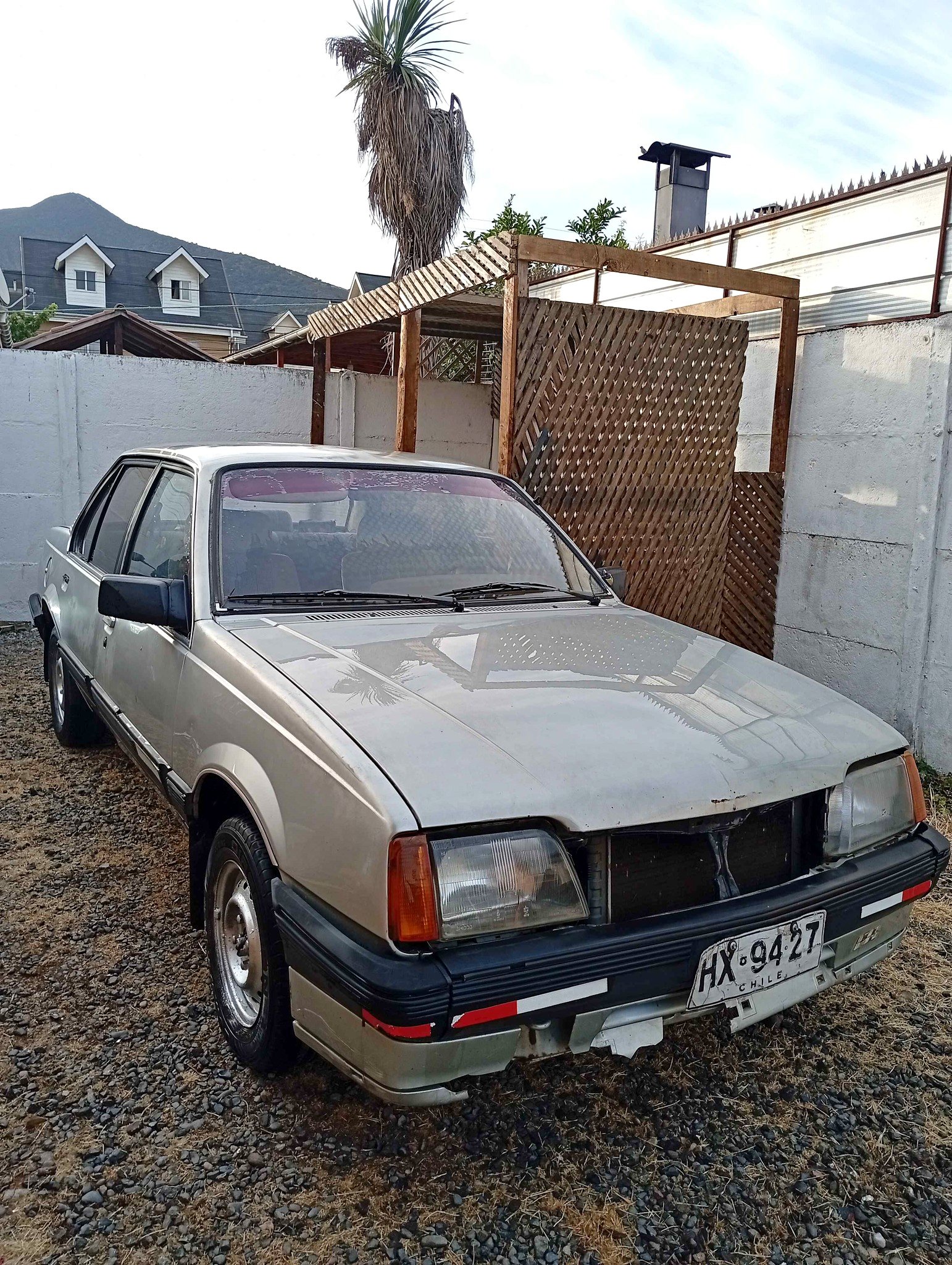 1988 Chevrolet Monza - Commercial Vehicles - La Cruz, Region ...