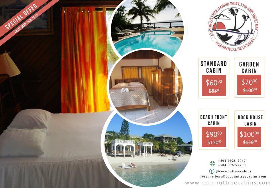 Coconut Tree Cabins | Roatán