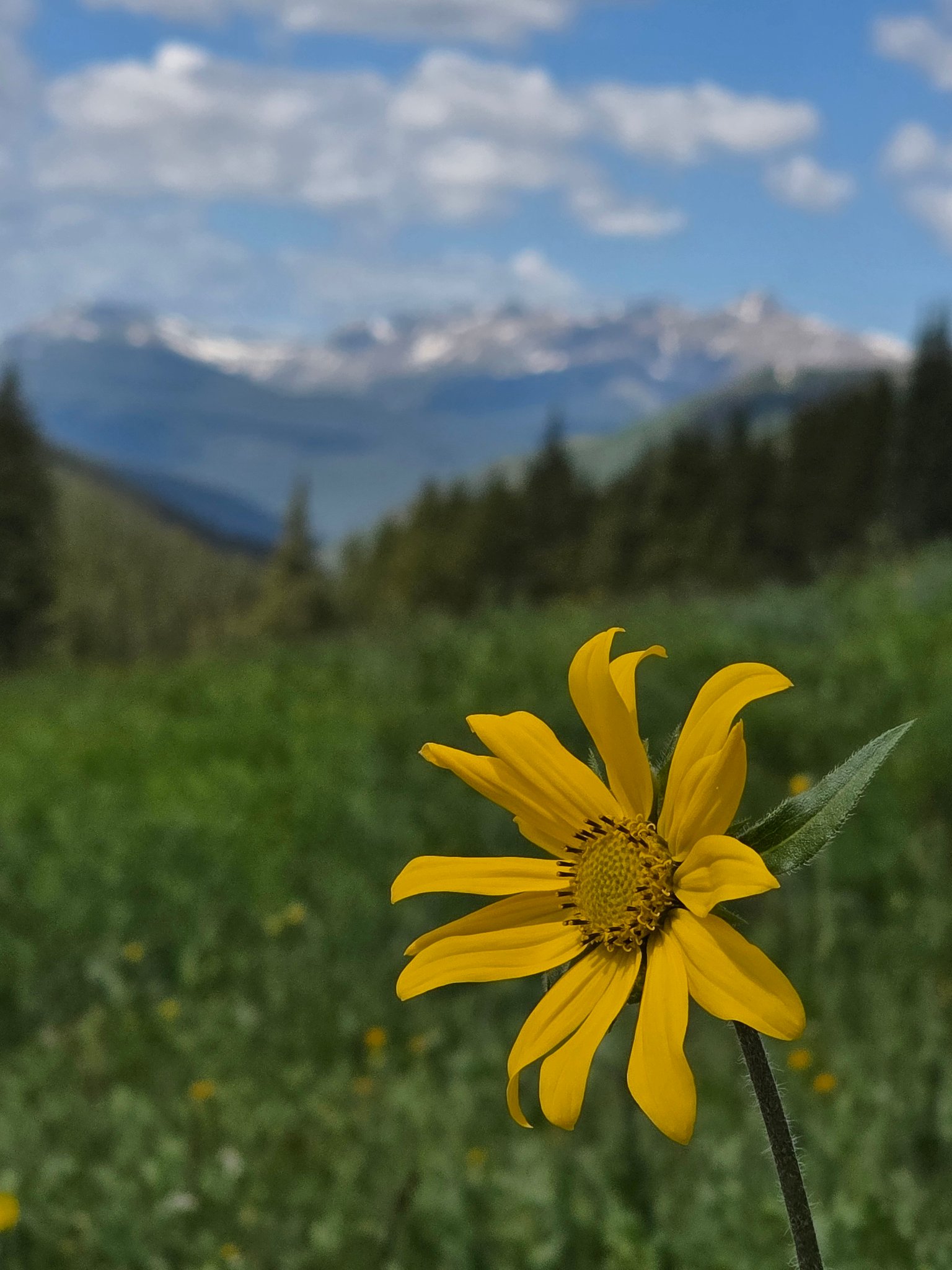 Hi all! I just wanted to introduce myself and share a photo I took