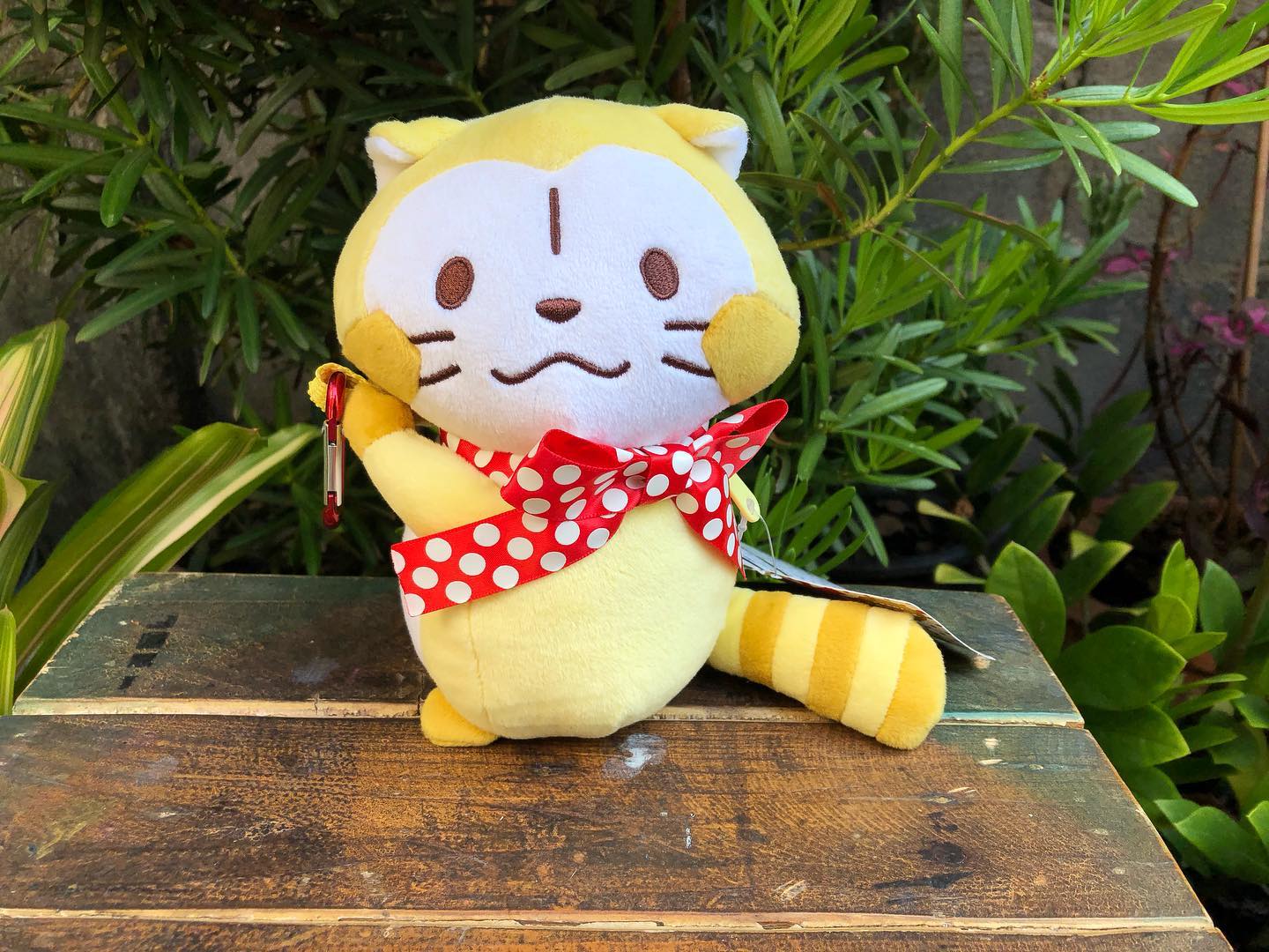 Shinrei_Toys - ตุ๊กตากระเป๋าแรคคูน Puchi Rascal...