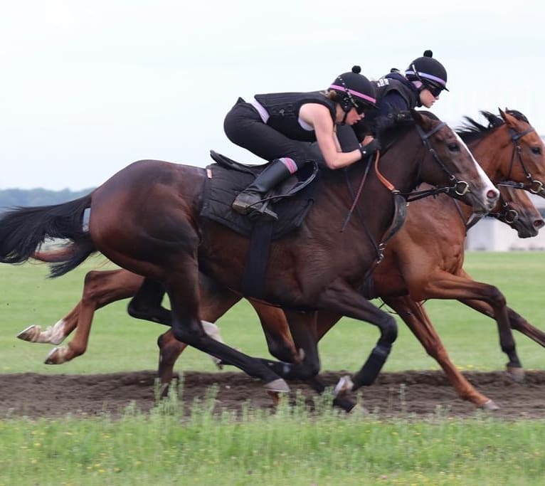 My dedicated team putting the horses... - Amy Murphy Racing