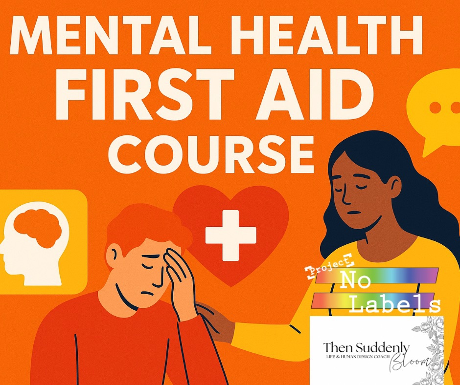 Adult Mental Health First Aid course