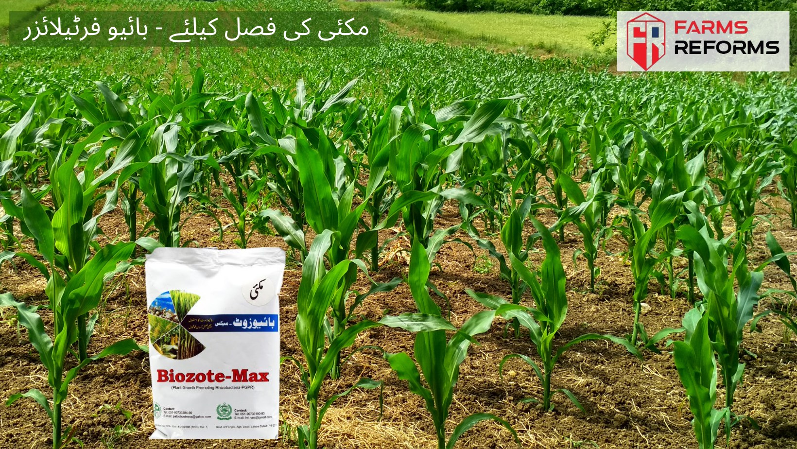 Farm Reforms | Rawalpindi