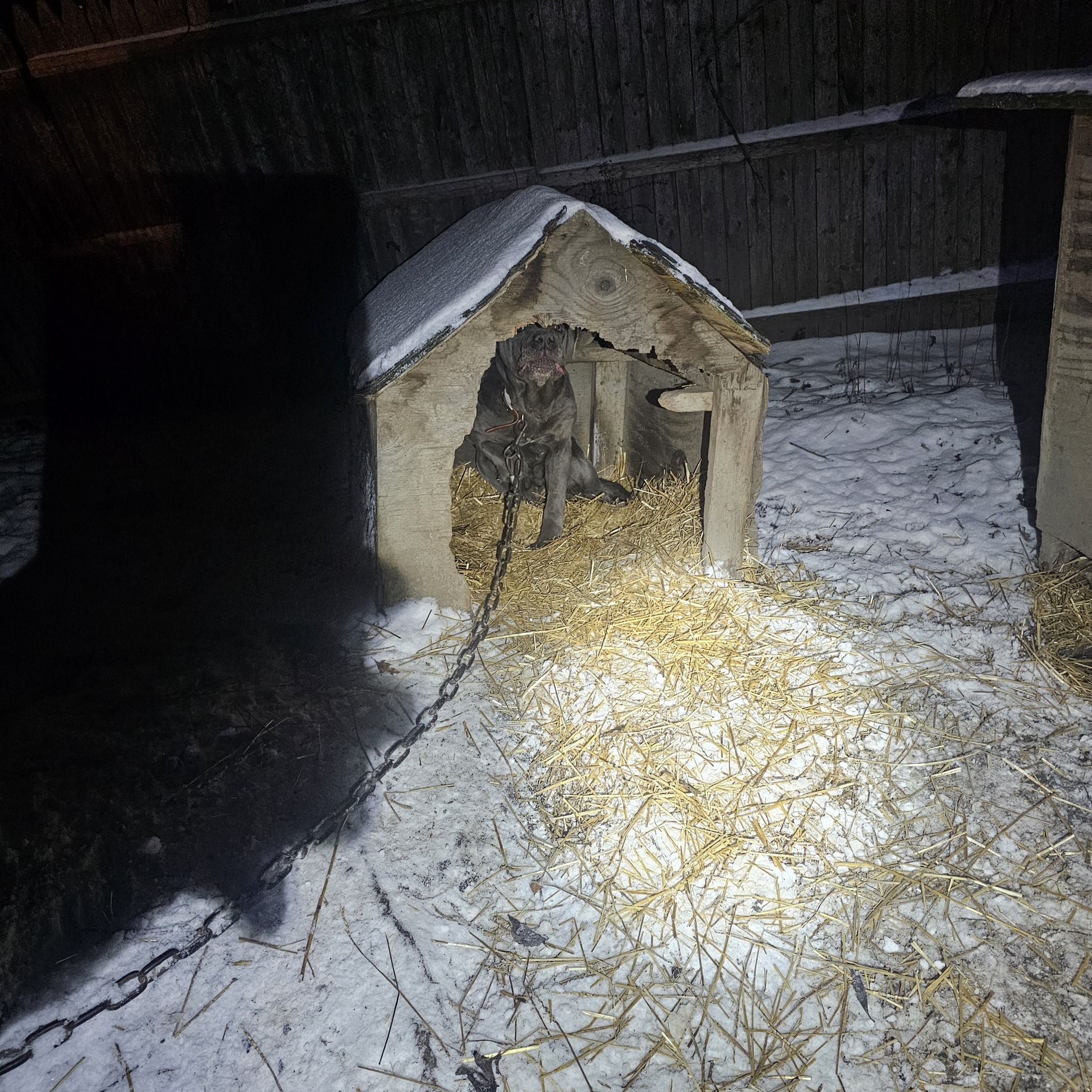 Jason - If you're concerned about the welfare of an animal in Trumbull ...