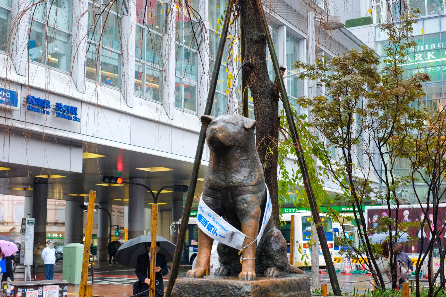 澀谷的代表犬「八公」。🐶♥ 來到澀谷就一定要和八公銅像一起拍張照喔。... - Shibuya Expert 澀谷達人