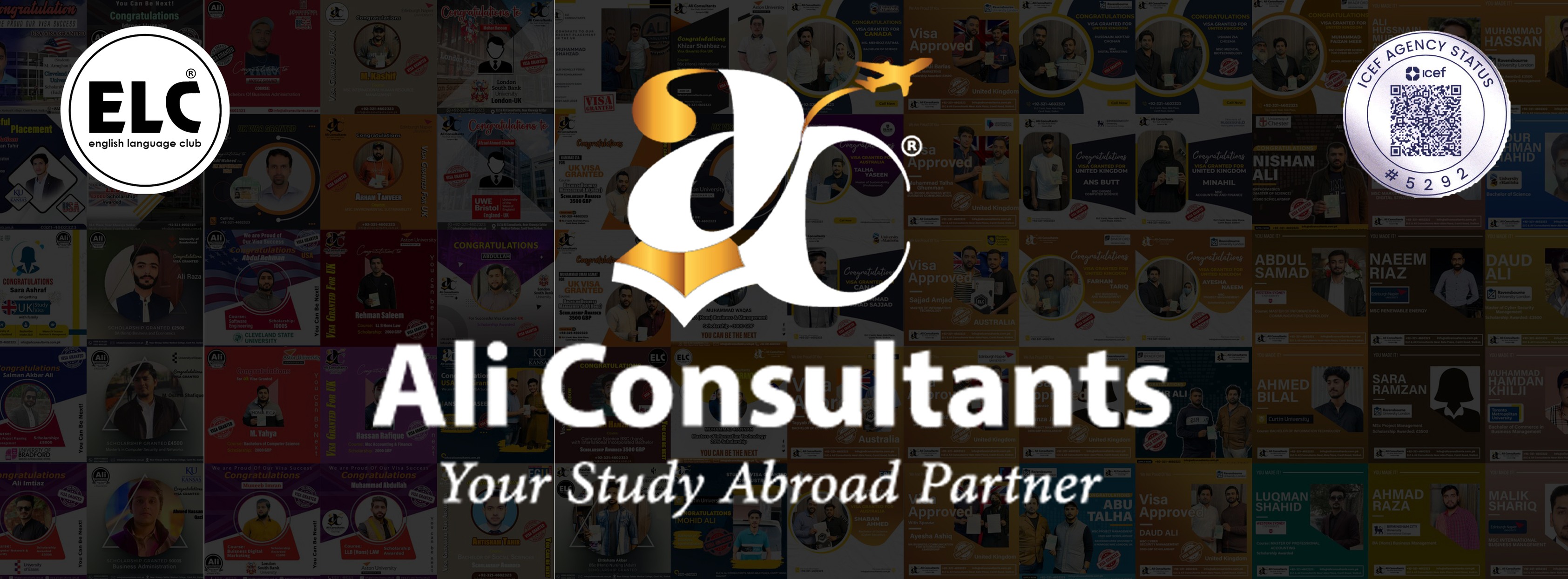 ali-consultants-a-project-of-elc