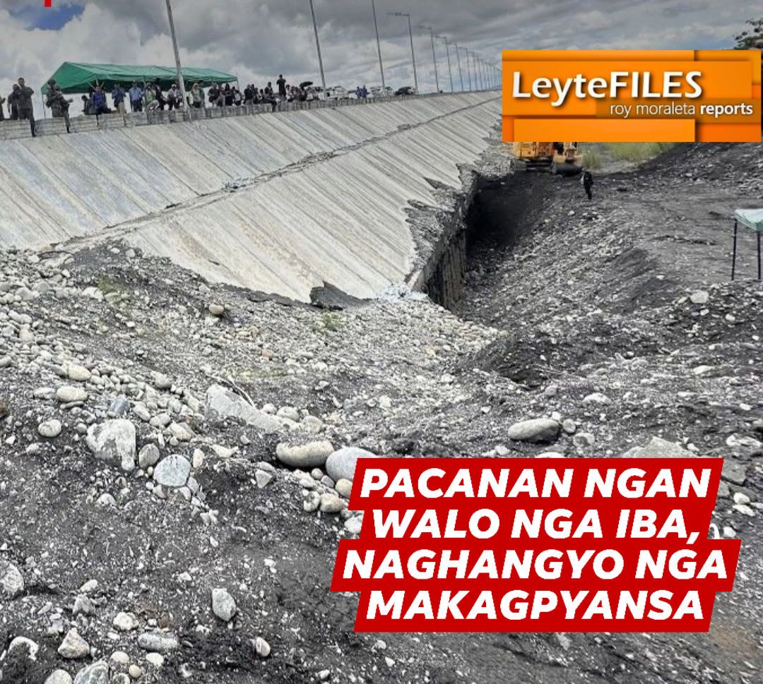 Roy - PACANAN NGAN IBA PA NGA EX-DPWH OFFICIALS HAN DPWH MIMAROPA ...