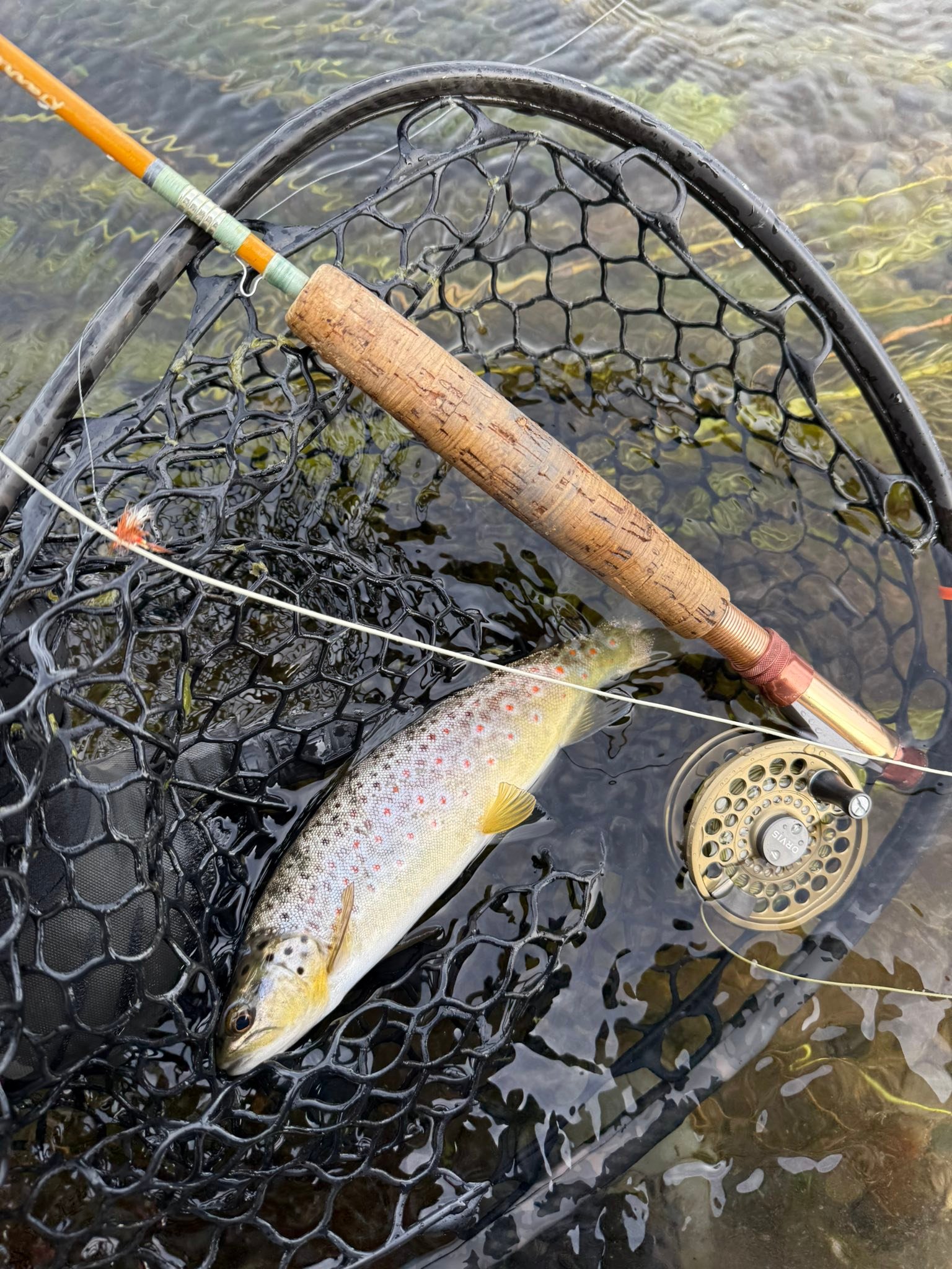 best ultralight fly reel Trutta Hubless Discover the Trutta Hubless Fly Reel Trout Ultralight Fly Rod Combo