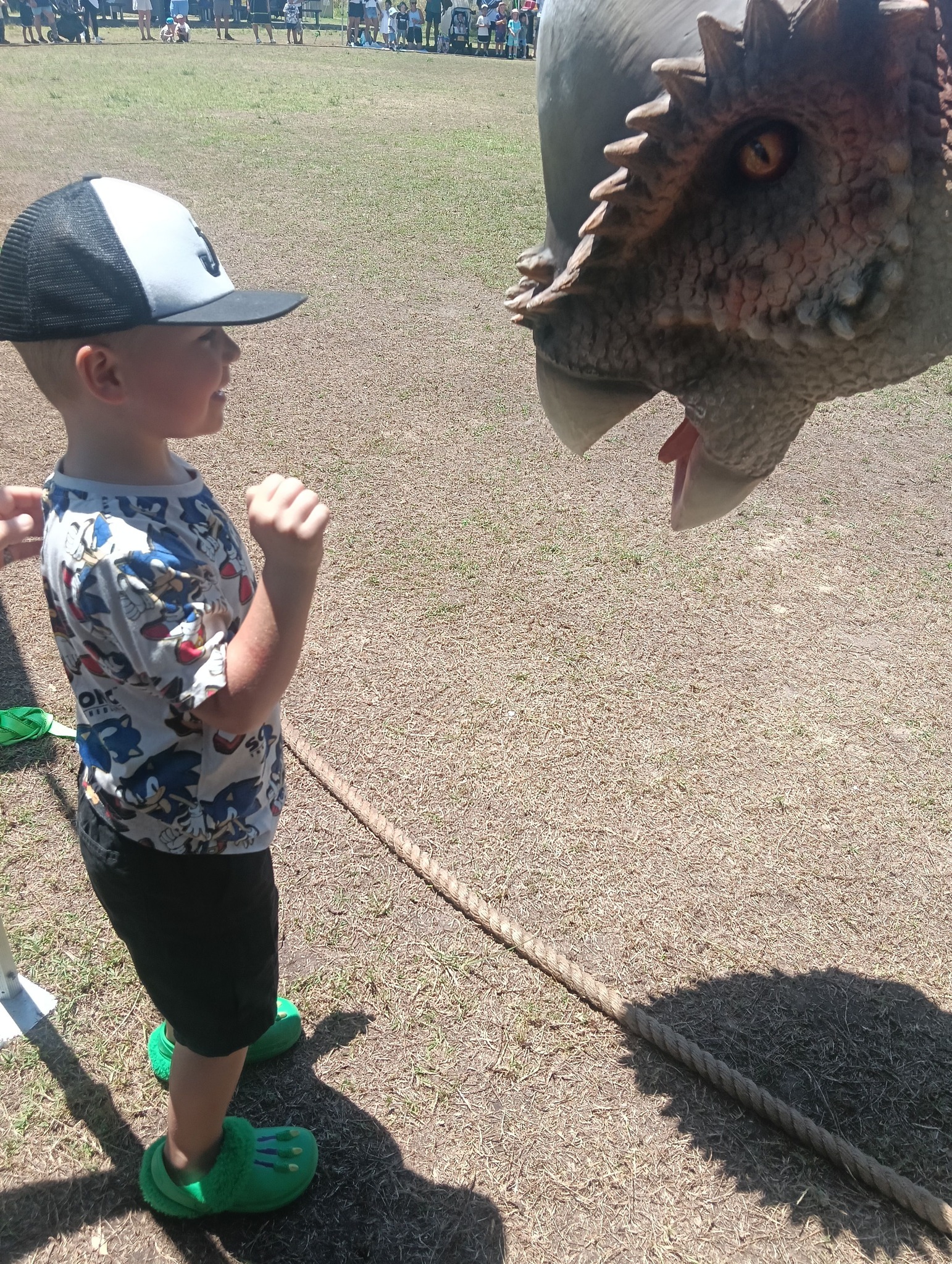 DinoFest Sydney | Facebook
