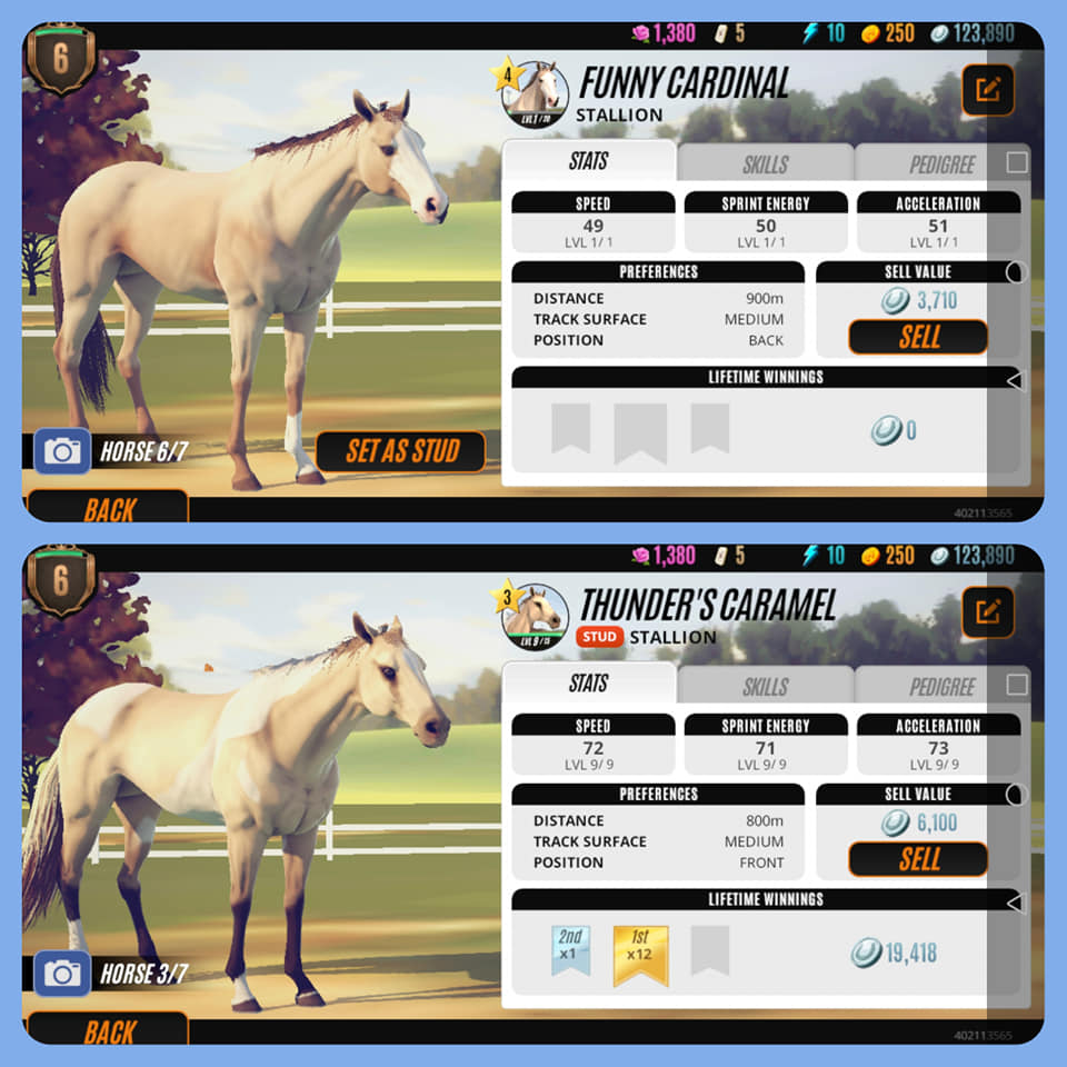 Some of my new stallions: Tiamat, King Kong, Grey and Noor🥰