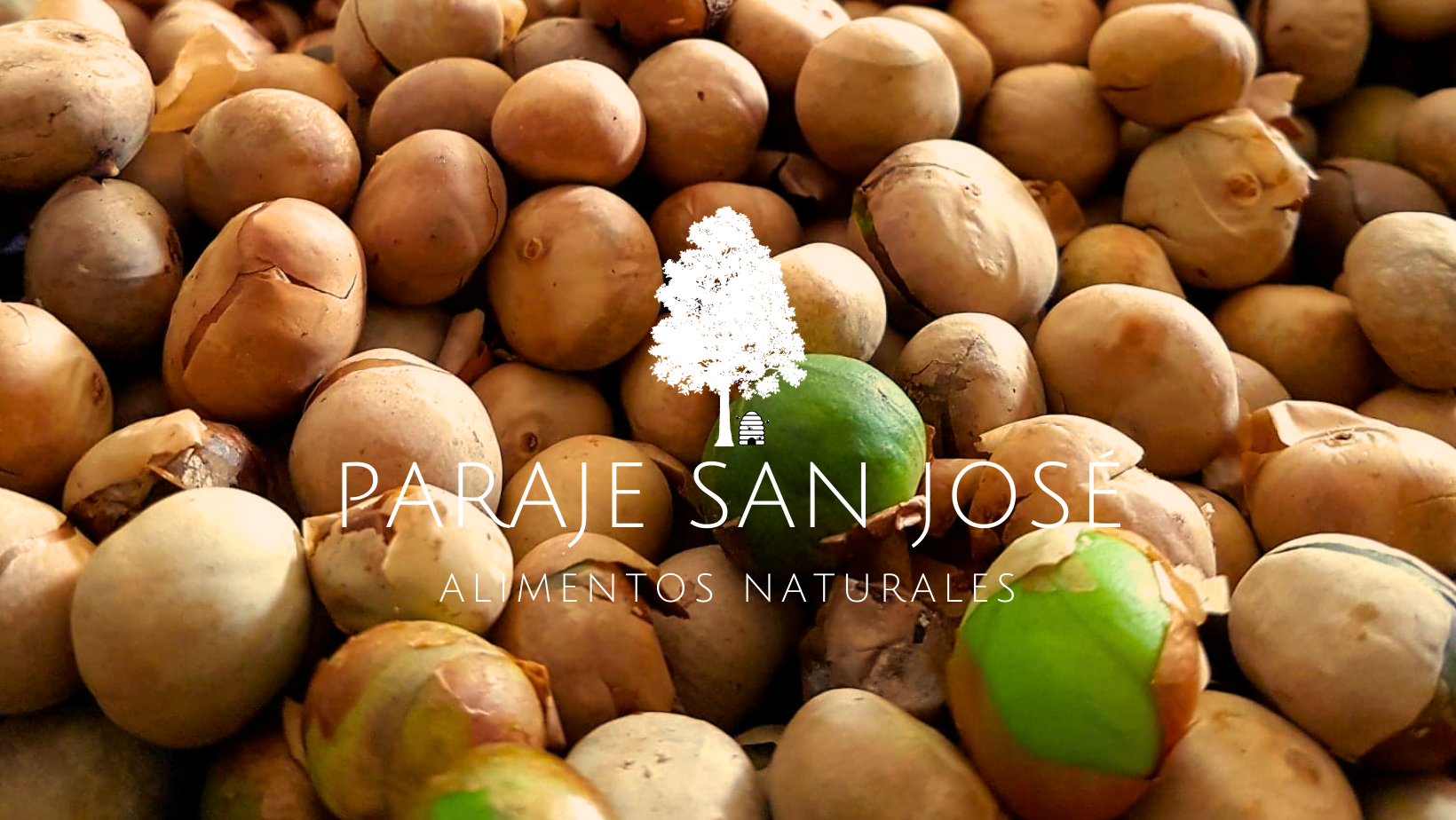 Productos del Árbol ramón 