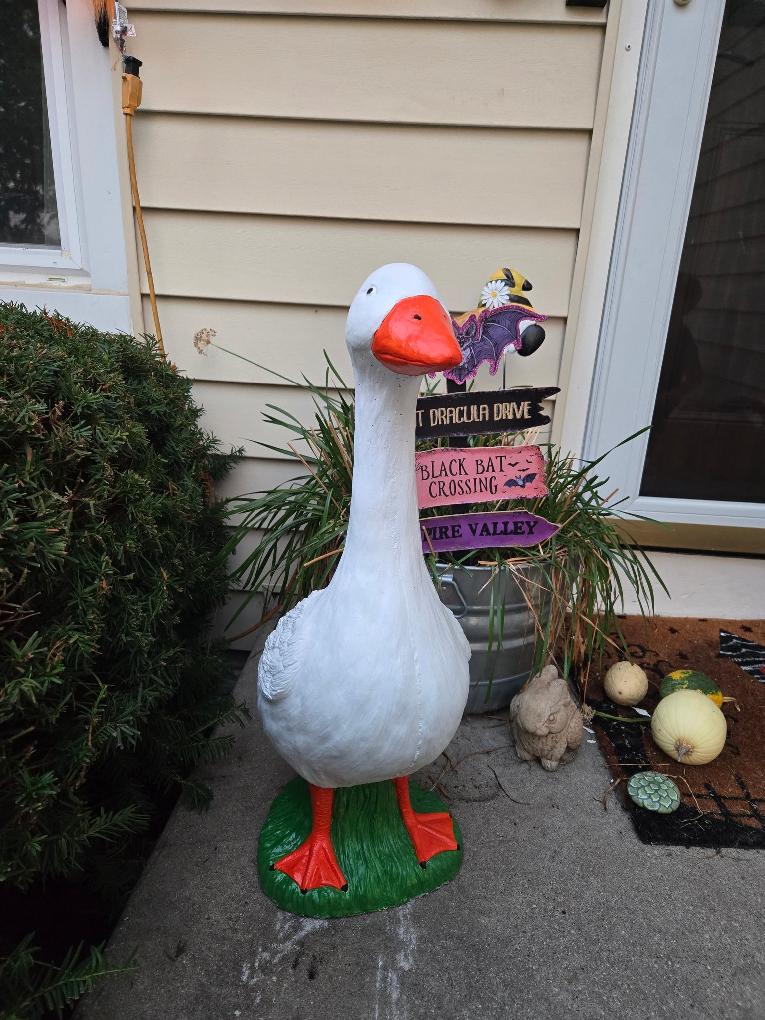The Porch Goose Club of America | Is there a basic free pattern for ...