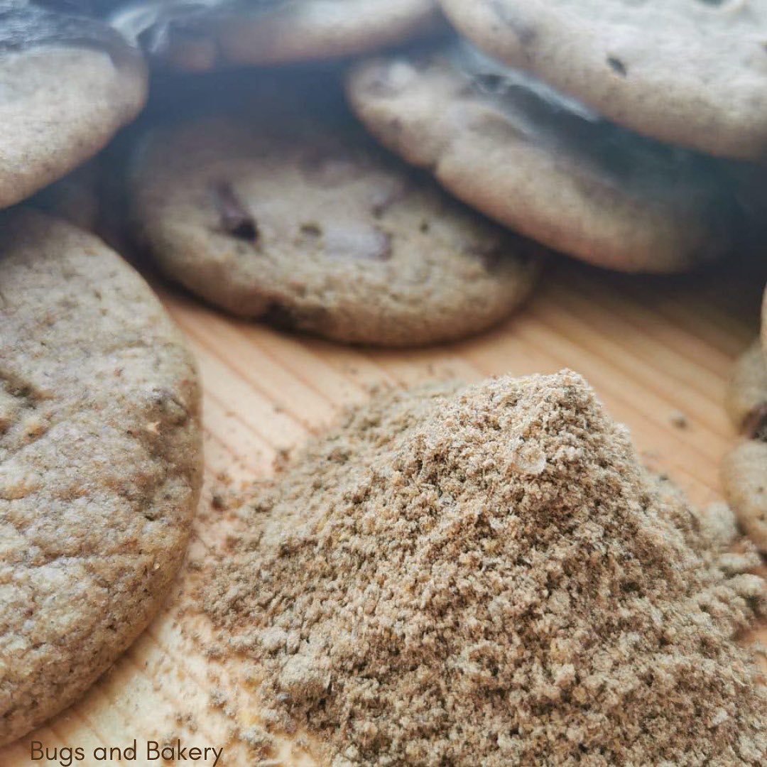 Bugs and Bakery - Conoce nuestra materia prima... 👀👀👇🏼👇🏼... | Facebook