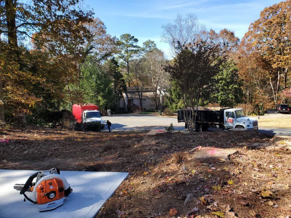 G&A Professional Tree Service | Atlanta GA