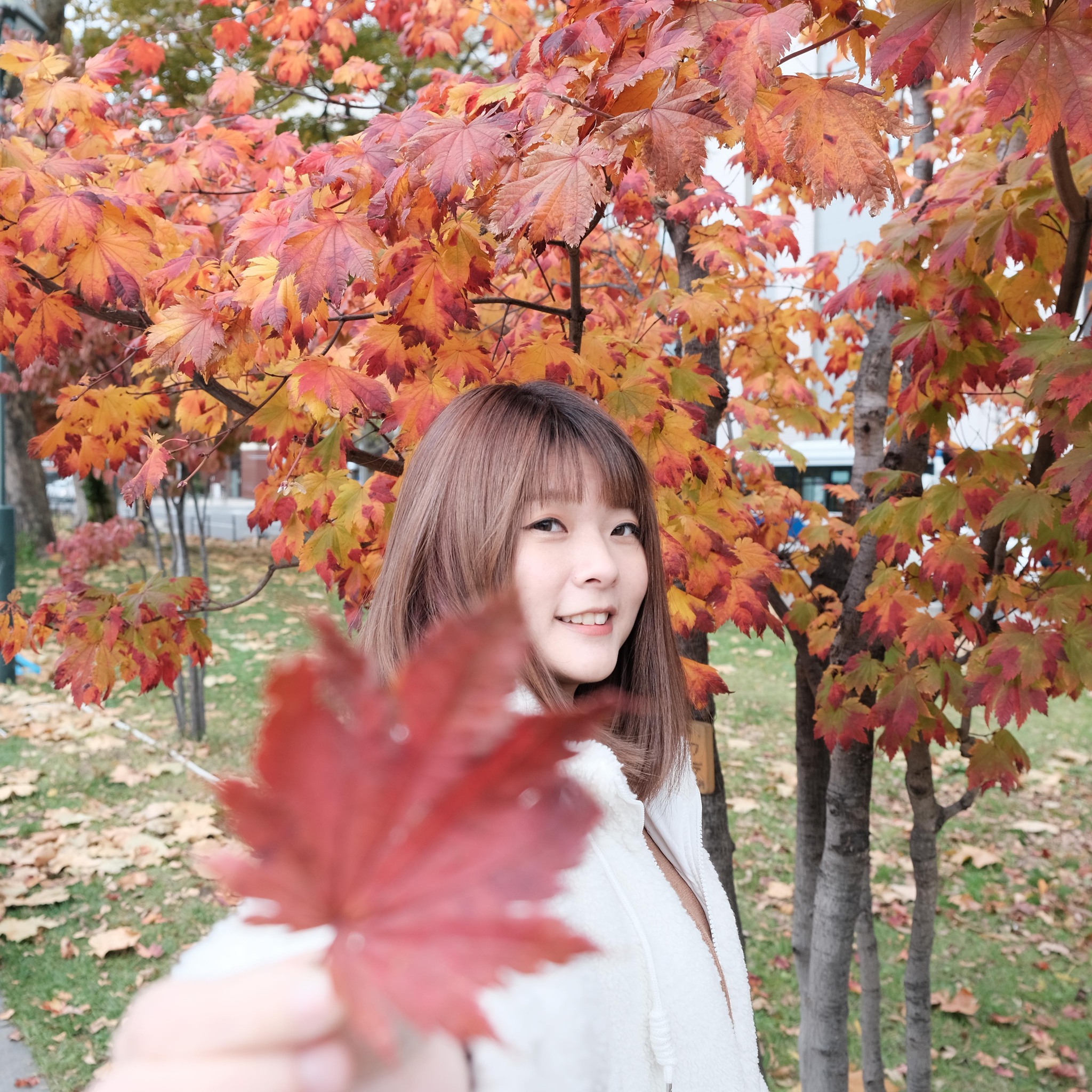 ෆ⸒⸒ 大稻埕夏日煙火 ⭑ 這次換橫拍， 換個不同的拍法♥️ 今天的感覺比較不一樣可惜煙太大都看不清楚🥺 ︎︎ 𓐍𓈒 ...