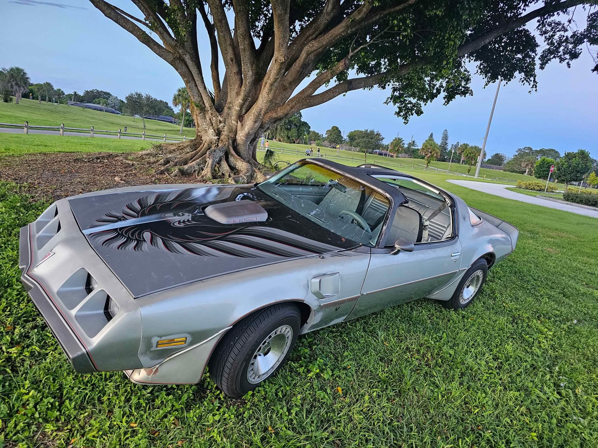 67-79 Pontiac Firebird, Trans Am, GTO Group | LOCATED IN WEST PALM ...