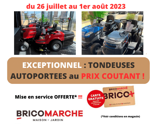 Sitemapcdatahttpwen2windecoocomtondeuse Autoportee Bricomarche