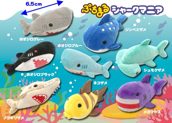 ≪8月の新商品≫ ☆ぷちまるシャークマニア☆ 意外に多い？サメ好きに