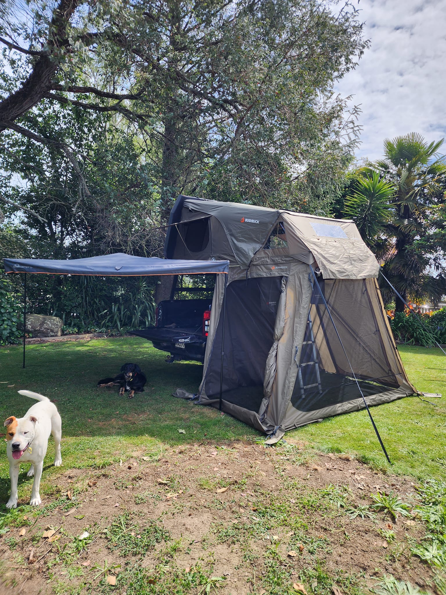 tente viking Cozy Viking-Style Pet Tent – Furry Garden Co Größe:12er Set Pole Tent vs Frame rockymountain The fabric is waterproof