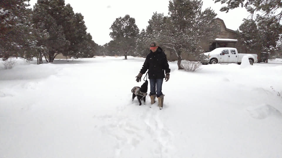 We were recently... - Iron Side Ranch Australian Shepherds