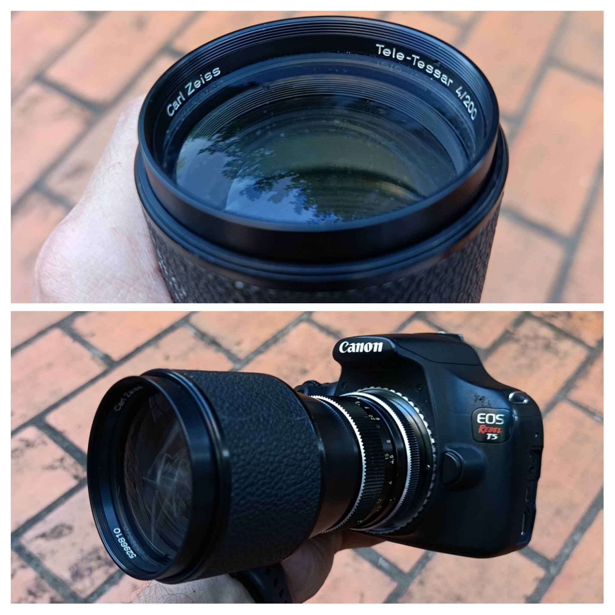 Image taken with Carl Zeiss Hasselblad FE Tele-Tessar 4/350 T