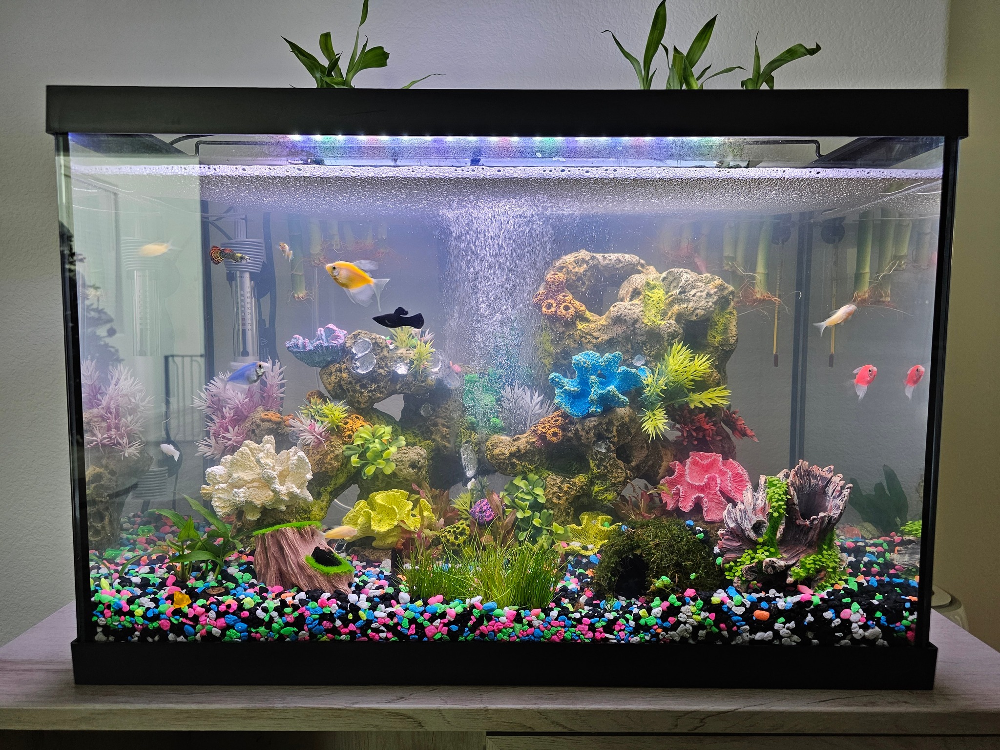 fish tank accessories crossword clue fazhongfa Decorations Star Wars Aquarium Small to Large Fish Tank Resin Decor for Betta Goldfish Hideouts Cave Hide Ornament Backgrounds (at-Large) : Pet Supplies Fish Tank Word Search Puzzle