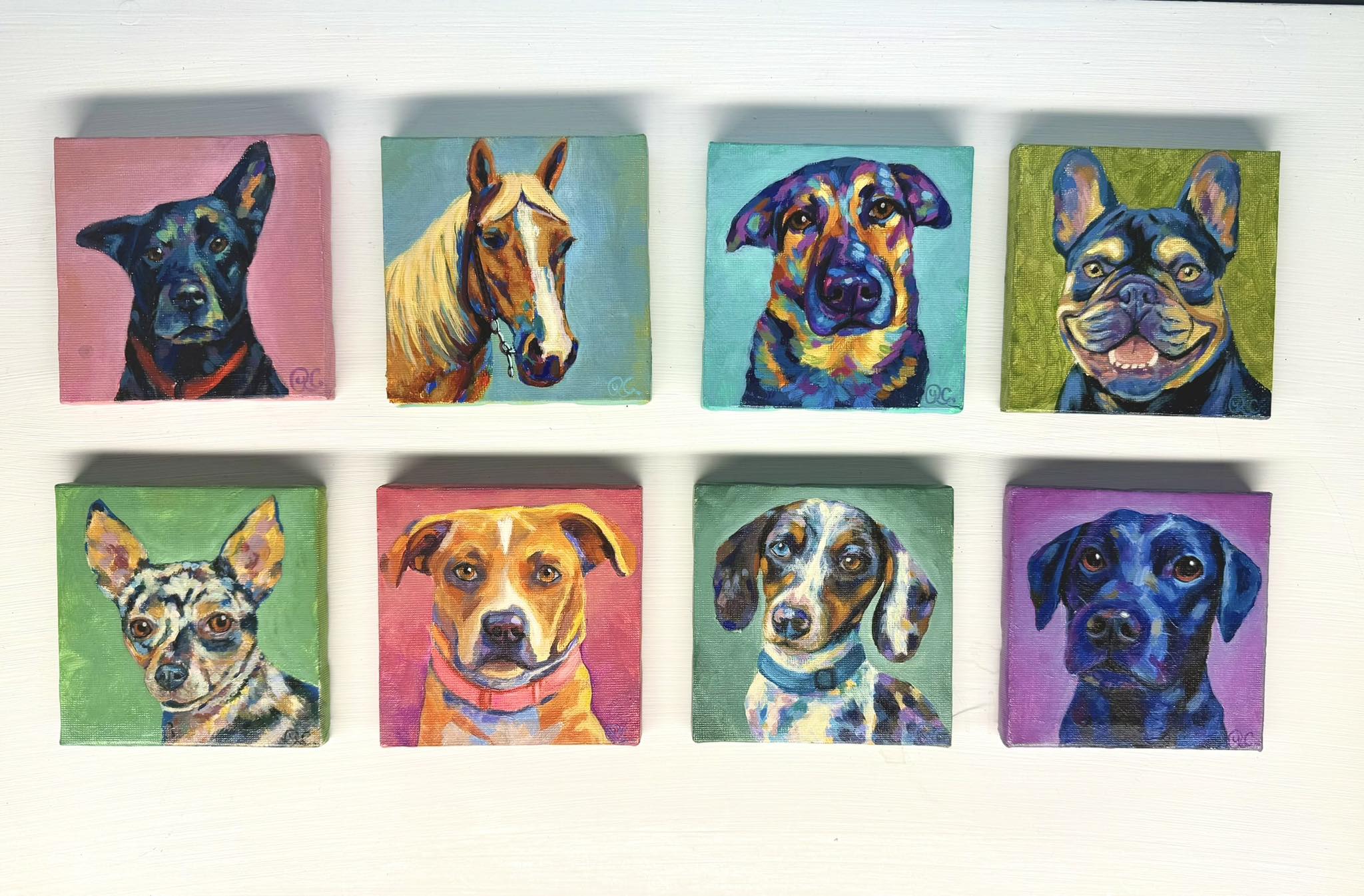 Mini pet portraits with bold colors