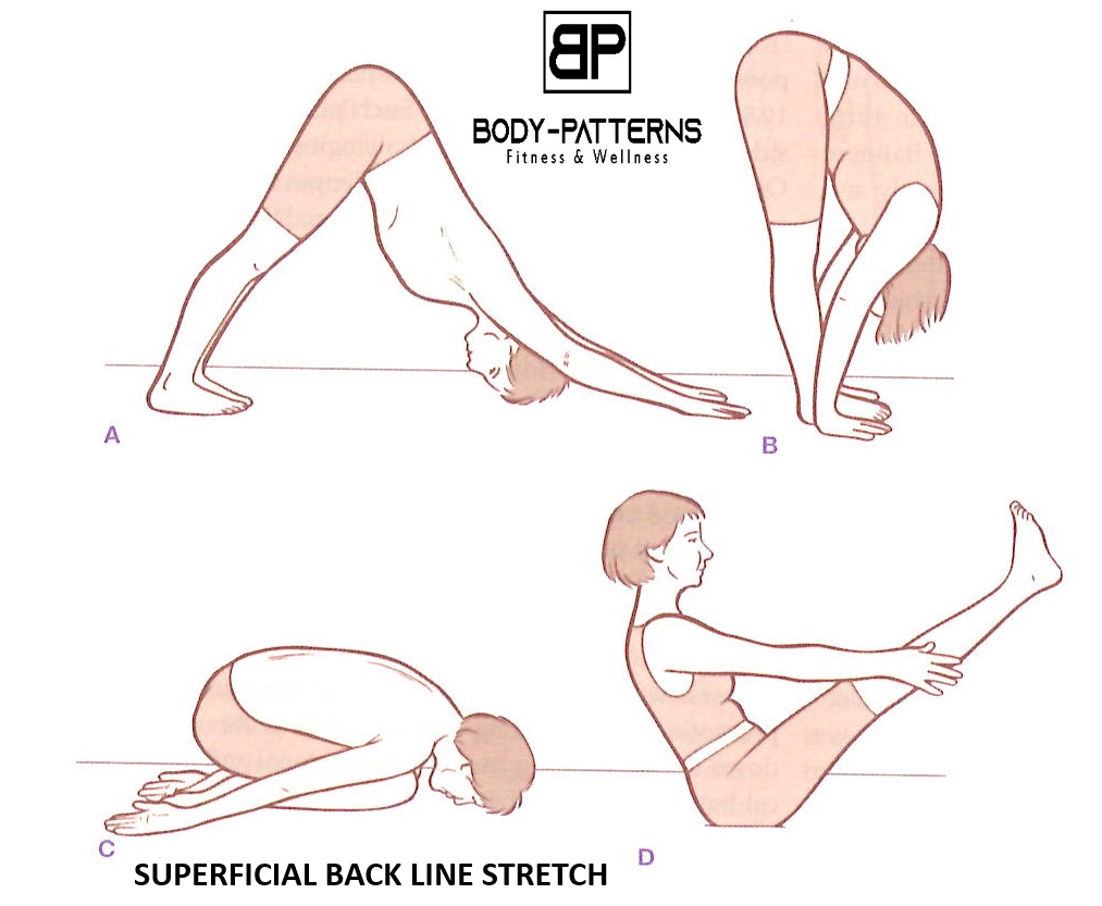 Body Patterns - The Superficial Back Line common... | Facebook