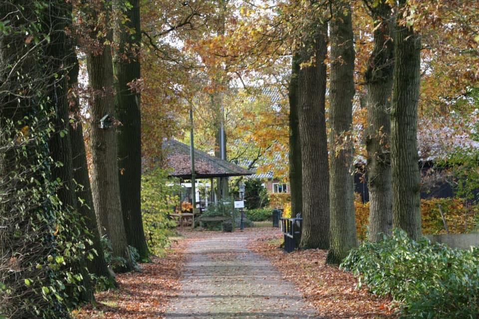 b-b-de-twentse-heerlijkheid-diepenheim