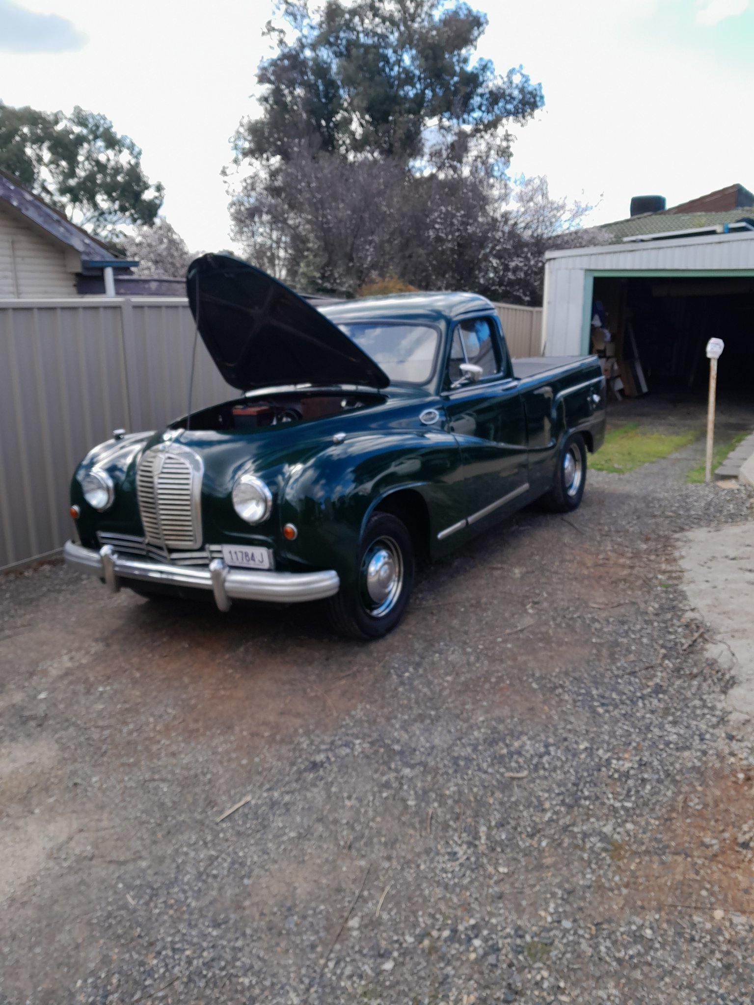Austins in Australia | Reliable old ute , resto date unknown , on club ...