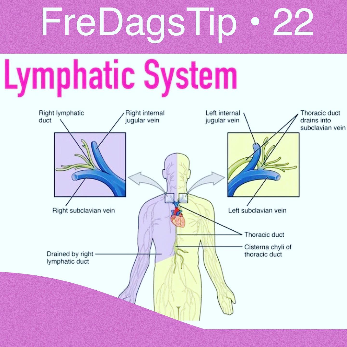 feetback-fredagstip-no-22-lymfeknuder-kroppens-facebook