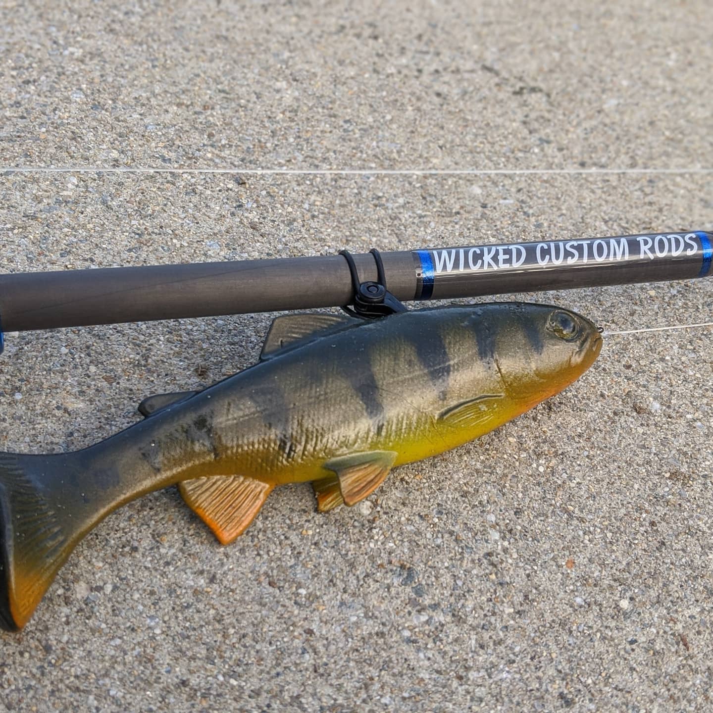 LDC x Swimbait 24/7 XXH 12.1 lbs 🏆 (bruceabassman) #swimbait247