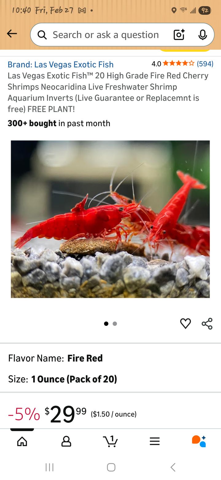 Red Cherry Shrimp: Ultimate Care Guide